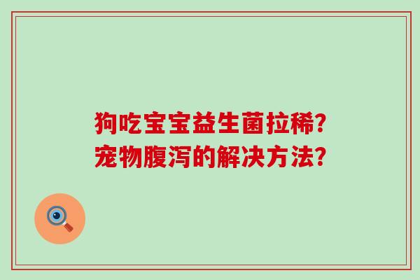 狗吃宝宝益生菌拉稀？宠物的解决方法？