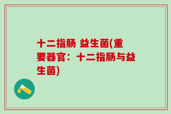 十二指肠 益生菌(重要器官:十二指肠与益生菌) 十二指肠 益生菌(重要器官:十二指肠与益生菌)