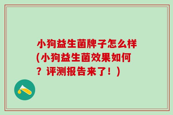 小狗益生菌牌子怎么样(小狗益生菌效果如何?评测报告来了!) 小狗益生菌牌子怎么样(小狗益生菌效果如何?评测报告来了!)
