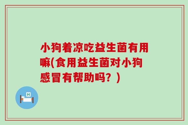 小狗着凉吃益生菌有用嘛(食用益生菌对小狗有帮助吗?) 小狗着凉吃益生菌有用嘛(食用益生菌对小狗有帮助吗?)