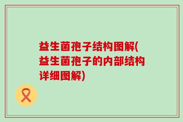 益生菌孢子结构图解(益生菌孢子的内部结构详细图解)