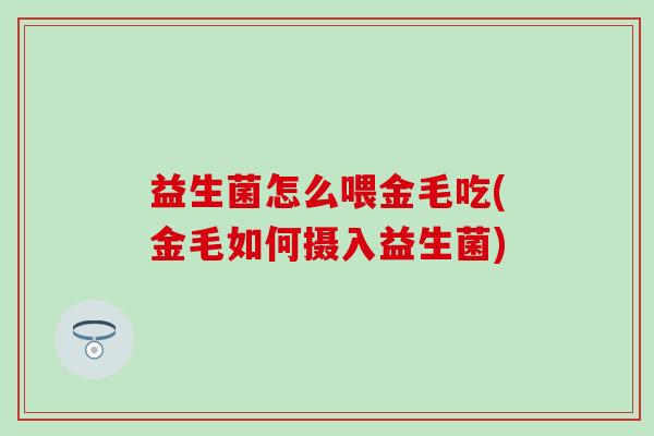 益生菌怎么喂金毛吃(金毛如何摄入益生菌) 益生菌怎么喂金毛吃(金毛如何摄入益生菌)