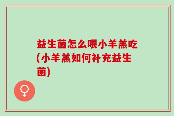 益生菌怎么喂小羊羔吃(小羊羔如何补充益生菌)