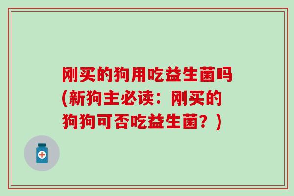 刚买的狗用吃益生菌吗(新狗主必读：刚买的狗狗可否吃益生菌？)
