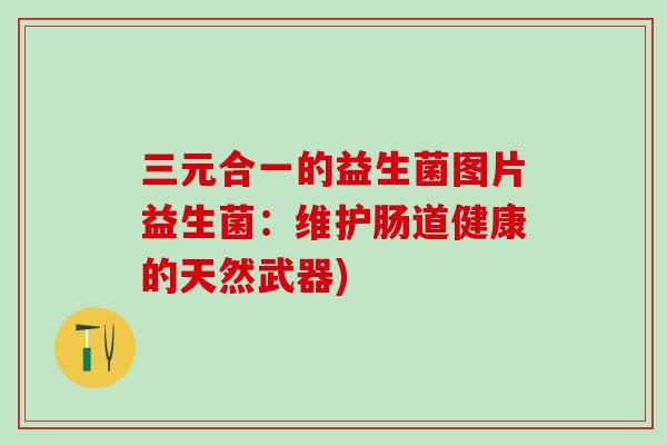 三元合一的益生菌图片益生菌:维护肠道健康的天然武器) 三元合一的益生菌图片益生菌:维护肠道健康的天然武器)