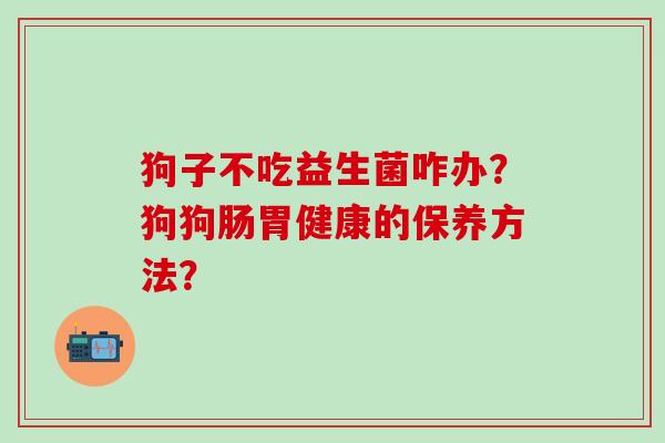 狗子不吃益生菌咋办?狗狗肠胃健康的保养方法? 狗子不吃益生菌咋办?狗狗肠胃健康的保养方法?