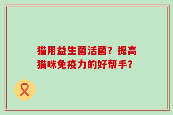 猫用益生菌活菌？提高猫咪力的好帮手？