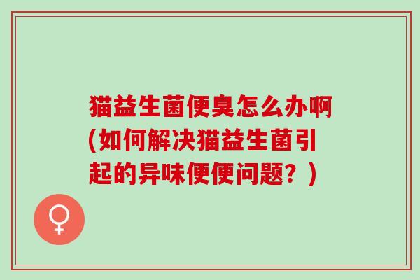 猫益生菌便臭怎么办啊(如何解决猫益生菌引起的异味便便问题?) 猫益生菌便臭怎么办啊(如何解决猫益生菌引起的异味便便问题?)
