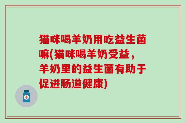 猫咪喝羊奶用吃益生菌嘛(猫咪喝羊奶受益,羊奶里的益生菌有助于促进肠道健康) 猫咪喝羊奶用吃益生菌嘛(猫咪喝羊奶受益,羊奶里的益生菌有助于促进肠道健康)