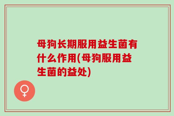 母狗长期服用益生菌有什么作用(母狗服用益生菌的益处) 母狗长期服用益生菌有什么作用(母狗服用益生菌的益处)