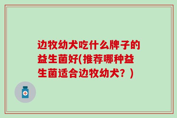 边牧幼犬吃什么牌子的益生菌好(推荐哪种益生菌适合边牧幼犬？)
