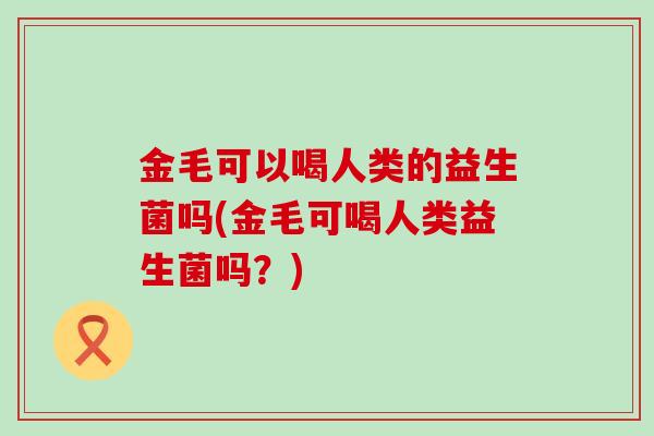 金毛可以喝人类的益生菌吗(金毛可喝人类益生菌吗？)