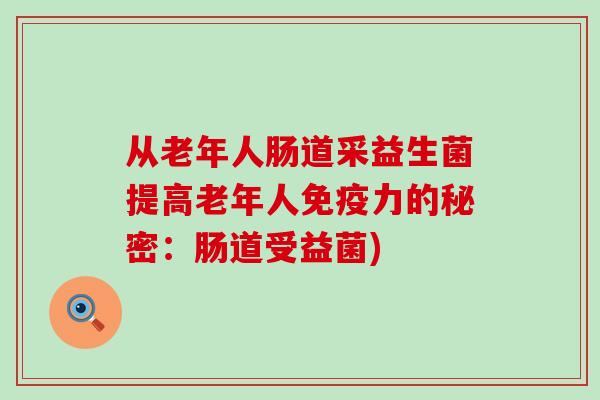 从老年人肠道采益生菌提高老年人力的秘密：肠道受益菌)
