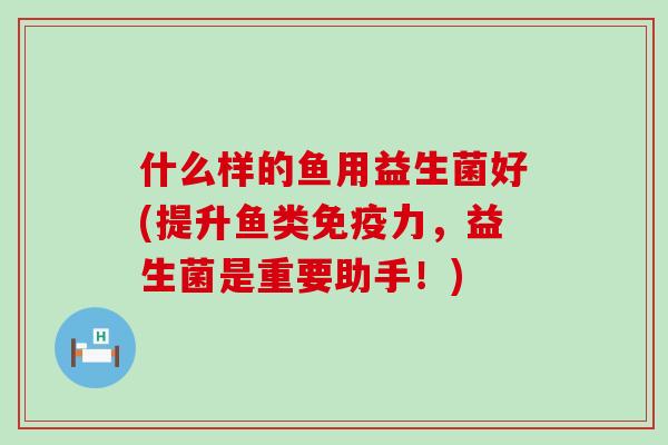 什么样的鱼用益生菌好(提升鱼类力,益生菌是重要助手!) 什么样的鱼用益生菌好(提升鱼类力,益生菌是重要助手!)