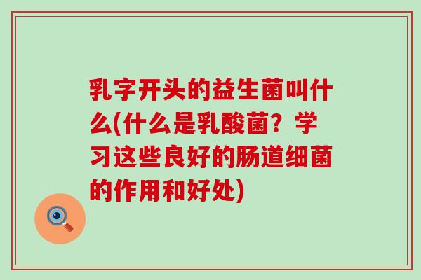 乳字开头的益生菌叫什么(什么是乳酸菌?学习这些良好的肠道的作用和好处) 乳字开头的益生菌叫什么(什么是乳酸菌?学习这些良好的肠道的作用和好处)
