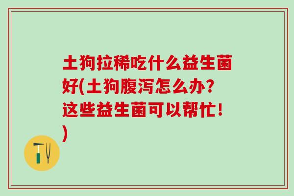 土狗拉稀吃什么益生菌好(土狗怎么办?这些益生菌可以帮忙!) 土狗拉稀吃什么益生菌好(土狗怎么办?这些益生菌可以帮忙!)