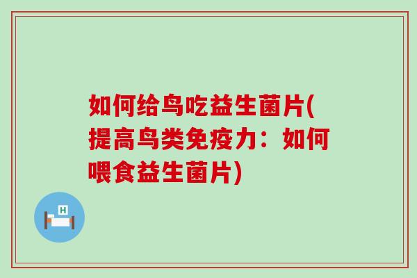 如何给鸟吃益生菌片(提高鸟类力：如何喂食益生菌片)