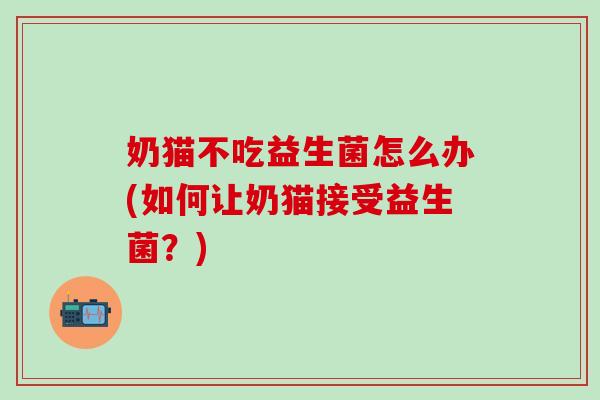 奶猫不吃益生菌怎么办(如何让奶猫接受益生菌?) 奶猫不吃益生菌怎么办(如何让奶猫接受益生菌?)