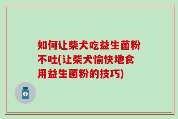 如何让柴犬吃益生菌粉不吐(让柴犬愉快地食用益生菌粉的技巧) 如何让柴犬吃益生菌粉不吐(让柴犬愉快地食用益生菌粉的技巧)