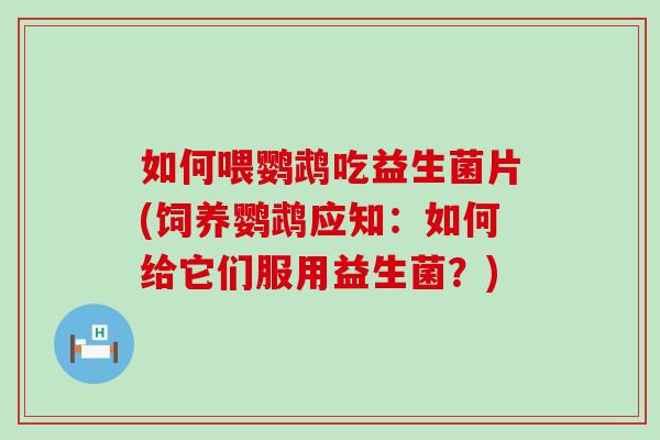 如何喂鹦鹉吃益生菌片(饲养鹦鹉应知:如何给它们服用益生菌?) 如何喂鹦鹉吃益生菌片(饲养鹦鹉应知:如何给它们服用益生菌?)