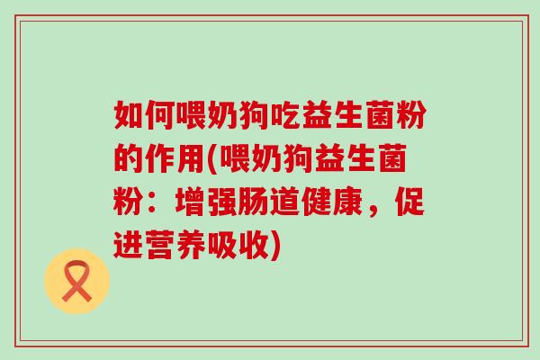 如何喂奶狗吃益生菌粉的作用(喂奶狗益生菌粉:增强肠道健康,促进营养吸收) 如何喂奶狗吃益生菌粉的作用(喂奶狗益生菌粉:增强肠道健康,促进营养吸收)