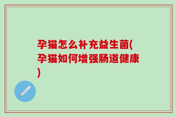 孕猫怎么补充益生菌(孕猫如何增强肠道健康)