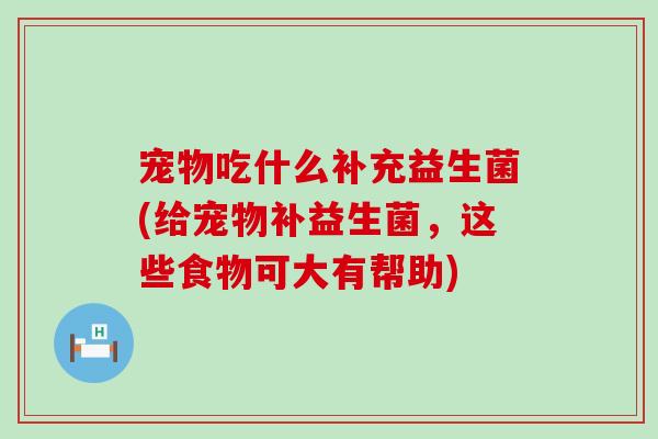 宠物吃什么补充益生菌(给宠物补益生菌，这些食物可大有帮助)