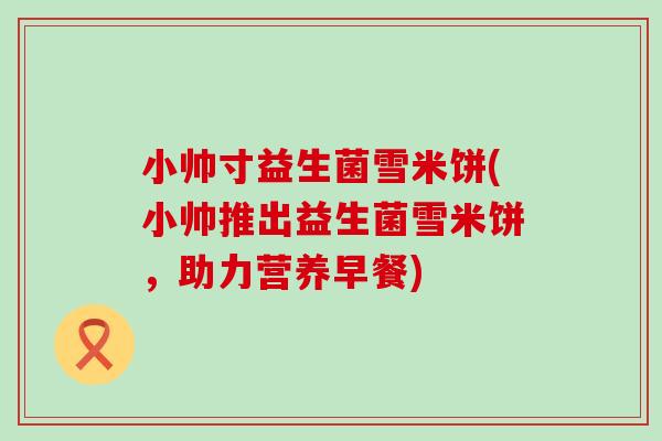 小帅寸益生菌雪米饼(小帅推出益生菌雪米饼,助力营养早餐) 小帅寸益生菌雪米饼(小帅推出益生菌雪米饼,助力营养早餐)