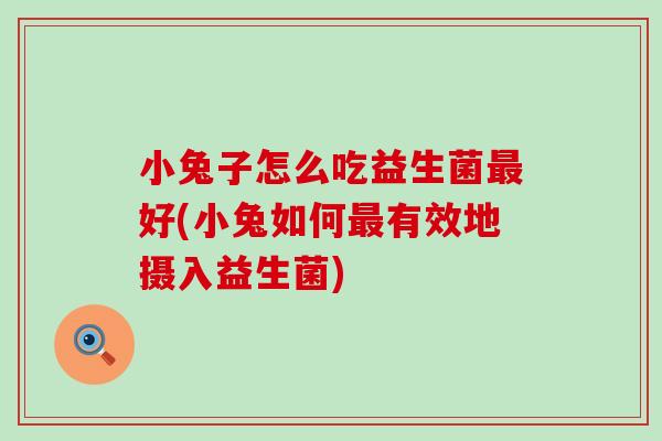 小兔子怎么吃益生菌好(小兔如何有效地摄入益生菌) 小兔子怎么吃益生菌好(小兔如何有效地摄入益生菌)