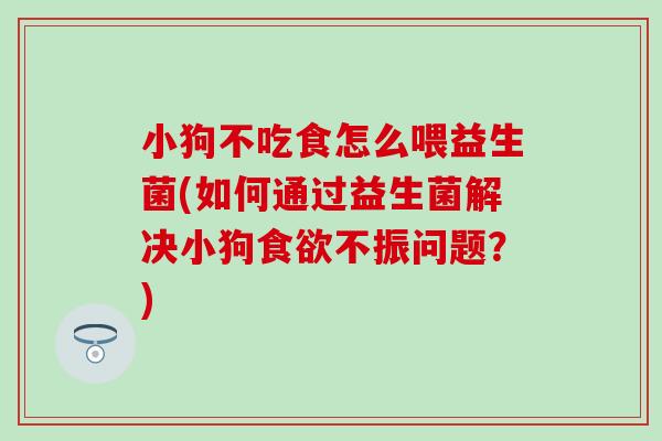 小狗不吃食怎么喂益生菌(如何通过益生菌解决小狗不振问题?) 小狗不吃食怎么喂益生菌(如何通过益生菌解决小狗不振问题?)