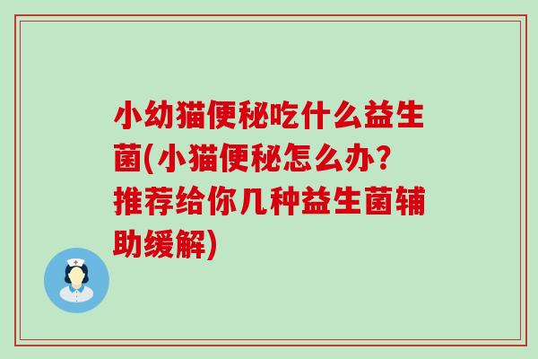 小幼猫吃什么益生菌(小猫怎么办?推荐给你几种益生菌辅助缓解) 小幼猫吃什么益生菌(小猫怎么办?推荐给你几种益生菌辅助缓解)