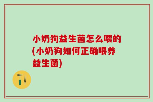 小奶狗益生菌怎么喂的(小奶狗如何正确喂养益生菌) 小奶狗益生菌怎么喂的(小奶狗如何正确喂养益生菌)