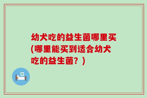幼犬吃的益生菌哪里买(哪里能买到适合幼犬吃的益生菌?) 幼犬吃的益生菌哪里买(哪里能买到适合幼犬吃的益生菌?)