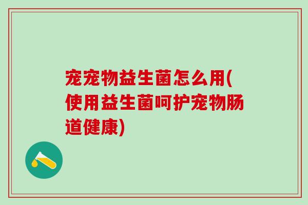 宠宠物益生菌怎么用(使用益生菌呵护宠物肠道健康) 宠宠物益生菌怎么用(使用益生菌呵护宠物肠道健康)