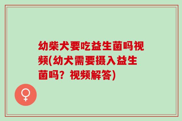 幼柴犬要吃益生菌吗视频(幼犬需要摄入益生菌吗？视频解答)