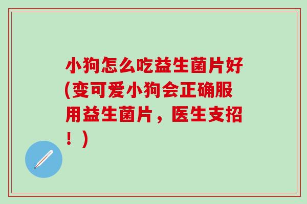 小狗怎么吃益生菌片好(变可爱小狗会正确服用益生菌片,医生支招!) 小狗怎么吃益生菌片好(变可爱小狗会正确服用益生菌片,医生支招!)