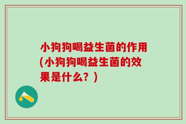 小狗狗喝益生菌的作用(小狗狗喝益生菌的效果是什么?) 小狗狗喝益生菌的作用(小狗狗喝益生菌的效果是什么?)