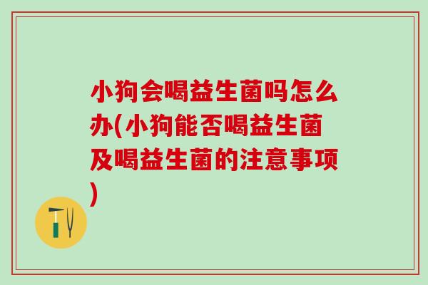 小狗会喝益生菌吗怎么办(小狗能否喝益生菌及喝益生菌的注意事项) 小狗会喝益生菌吗怎么办(小狗能否喝益生菌及喝益生菌的注意事项)