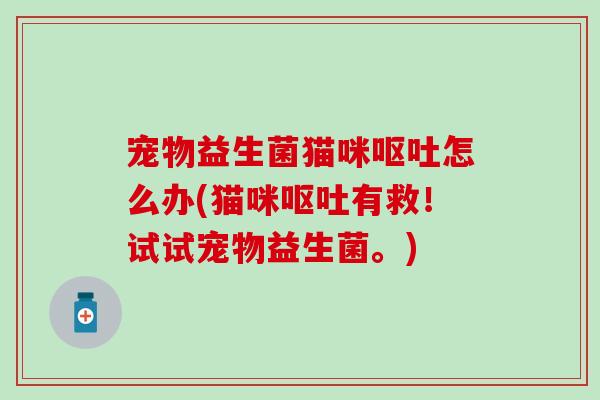 宠物益生菌猫咪怎么办(猫咪有救！试试宠物益生菌。)