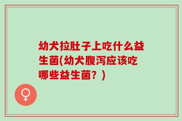 幼犬拉肚子上吃什么益生菌(幼犬应该吃哪些益生菌?) 幼犬拉肚子上吃什么益生菌(幼犬应该吃哪些益生菌?)