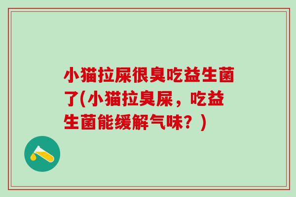 小猫拉屎很臭吃益生菌了(小猫拉臭屎，吃益生菌能缓解气味？)