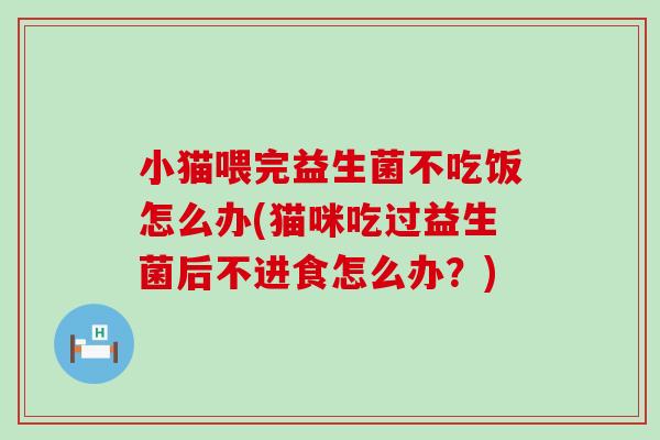小猫喂完益生菌不吃饭怎么办(猫咪吃过益生菌后不进食怎么办？)