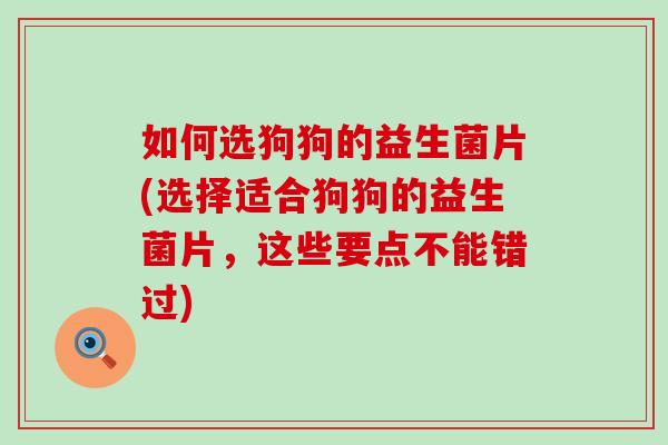 如何选狗狗的益生菌片(选择适合狗狗的益生菌片，这些要点不能错过)