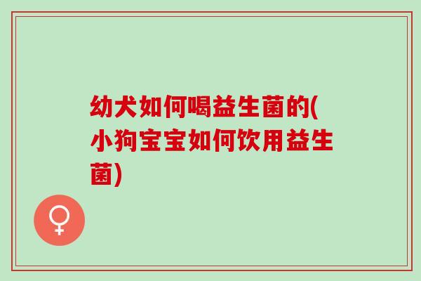 幼犬如何喝益生菌的(小狗宝宝如何饮用益生菌) 幼犬如何喝益生菌的(小狗宝宝如何饮用益生菌)