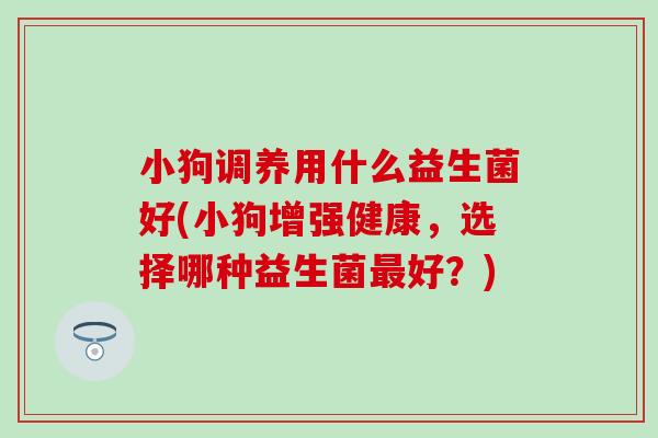 小狗调养用什么益生菌好(小狗增强健康,选择哪种益生菌好?) 小狗调养用什么益生菌好(小狗增强健康,选择哪种益生菌好?)
