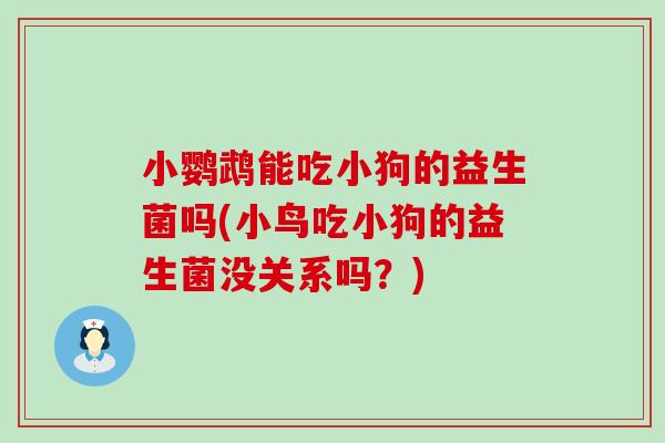 小鹦鹉能吃小狗的益生菌吗(小鸟吃小狗的益生菌没关系吗?) 小鹦鹉能吃小狗的益生菌吗(小鸟吃小狗的益生菌没关系吗?)