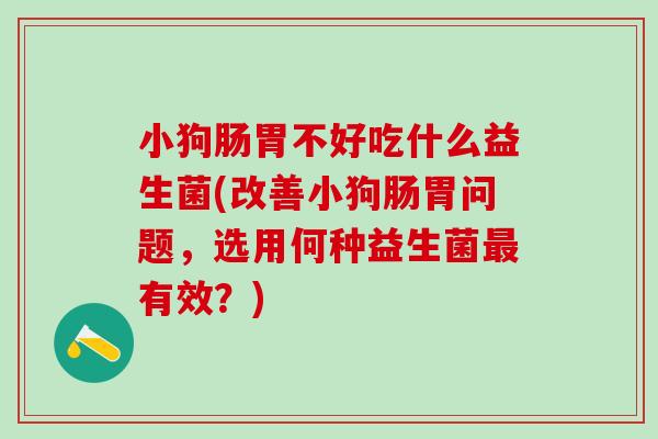 小狗肠胃不好吃什么益生菌(改善小狗肠胃问题,选用何种益生菌有效?) 小狗肠胃不好吃什么益生菌(改善小狗肠胃问题,选用何种益生菌有效?)