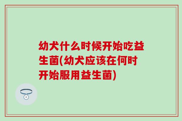 幼犬什么时候开始吃益生菌(幼犬应该在何时开始服用益生菌) 幼犬什么时候开始吃益生菌(幼犬应该在何时开始服用益生菌)