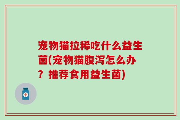 宠物猫拉稀吃什么益生菌(宠物猫怎么办？推荐食用益生菌)