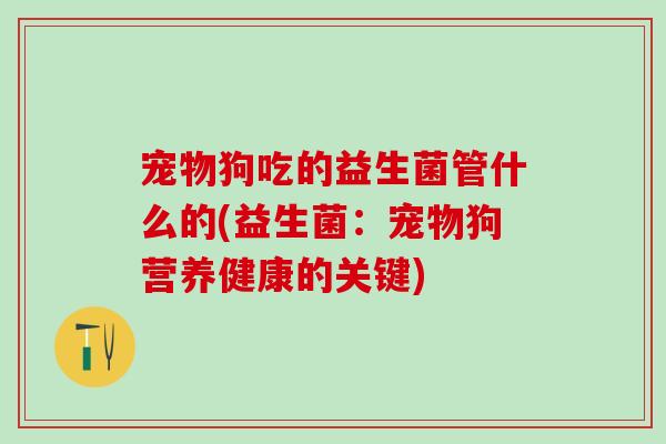 宠物狗吃的益生菌管什么的(益生菌:宠物狗营养健康的关键) 宠物狗吃的益生菌管什么的(益生菌:宠物狗营养健康的关键)